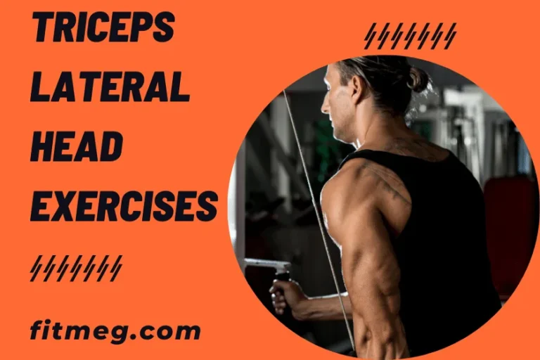 Top 10 Triceps Lateral Head Exercises